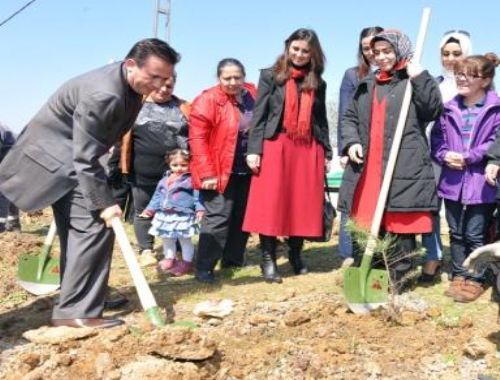 Tuzla Kadın Kent Gönüllüleri Fidanlık Oluşturdu
